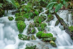 0057-Newzealand-26032010