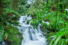 0058-Newzealand-27032010