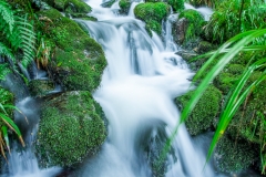 0059-Newzealand-27032010