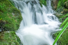 0060-Newzealand-27032010