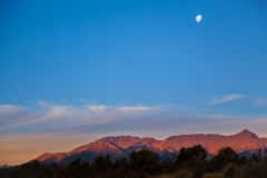 0062-Newzealand-27032010