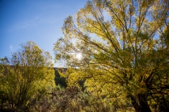 0063-Newzealand-28032010