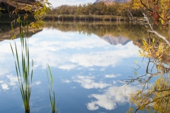 0065-Newzealand-28032010