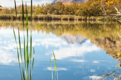 0066-Newzealand-28032010