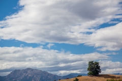 0068-Newzealand-29032010