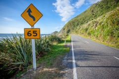 0070-Newzealand-31032010