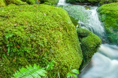 0073-Newzealand-01042010