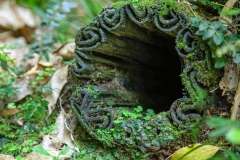 0074-Newzealand-02042010